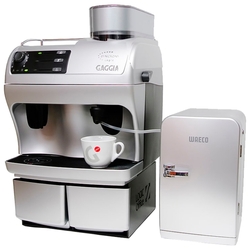 Ремонт Gaggia Logic Office Autocappuccino 900g